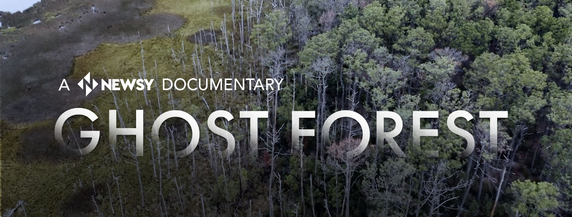 Ghost Forest Newsy documentary logo