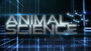 Xploration: Animal Science