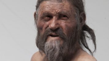 An Iceman's Upset Stomach Can Teach Us About The Earliest Europeans