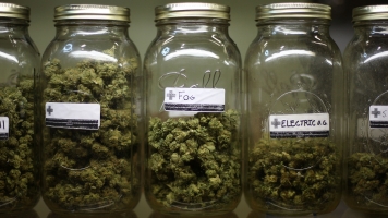 Various types of marijuana are on display at Private Organic Therapy (P.O.T.).