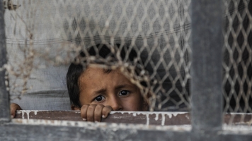 Syrian boy looking out a window