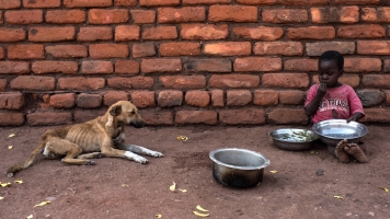 A child eats food next to a starved dog