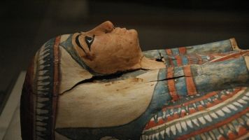 Mummy DNA Might Help End A Decades-Old Debate