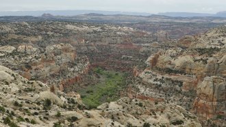 Trump's Cut To Utah Monuments Sparks Protests And Lawsuits