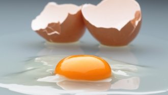 An Egg A Day May Keep Cardiovascular Disease Away, New Study Says