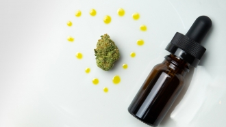 CBD oil next to a bud of marijuana