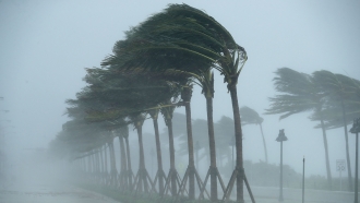 Here's What A Hurricane's Category Signifies