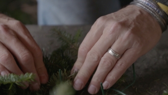 Christmas Tree farmer's hand