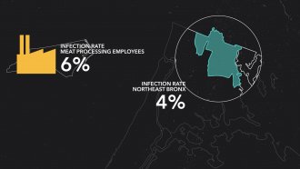 Graphic comparing North Carolina meat plant infection rate to Northeast Bronx