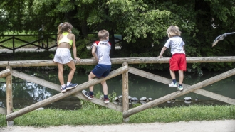 Kids looks at turtles at the Sempione Park.