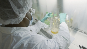 A researcher tests possible COVID-19 antibodies.