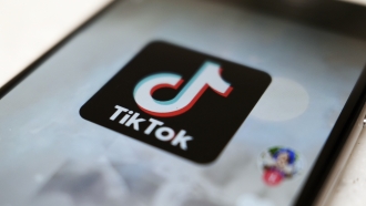 TikTok Joins Effort To Prevent Election Misinformation