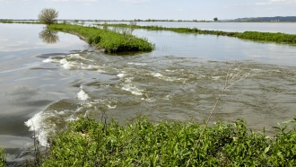 Floodwaters from the Missouri River flow through a break in a levee, north of Hamburg, Iowa, on May 10, 2019.