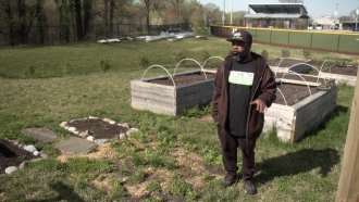 Man grows farm in Washington, D.C.
