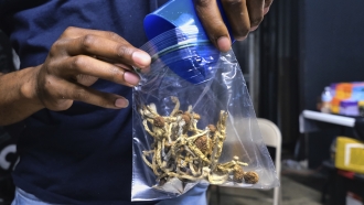 Vendor bags psilocybin mushrooms at a pop-up cannabis market in Los Angeles.