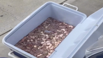 Pennies sit in a cooler.