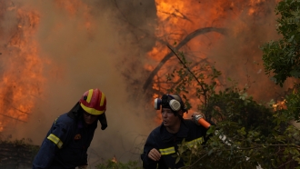 Firefighters battle a blaze in Evia, Greece.