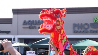 A Chinese dragon at a Moon Festival
