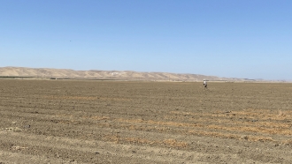 Bare California farmland that has not been planted because of drought