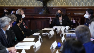 Vice President Kamala Harris speaks during a meeting