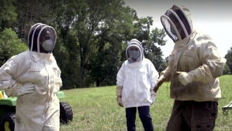 People in beekeeper suits at a bee farm