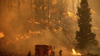 Firefighters battle the Sugar Fire that is part of the Beckwourth Complex Fire in Plumas National Park.