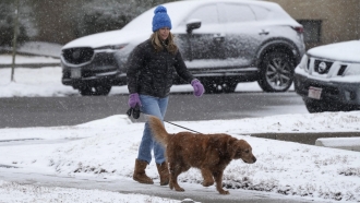 Woman walks dog in snow