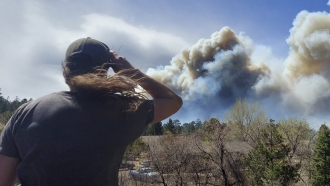 Smoke from a wind-whipped wildfire rises above neighborhoods in Arizona.