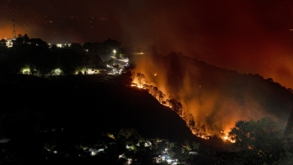 A forest is on fire in India.