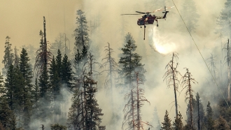 A helicopter drops water on the Washburn Fire burning in Yosemite National Park.