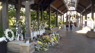 Flowers are shown under an awning where people walk.