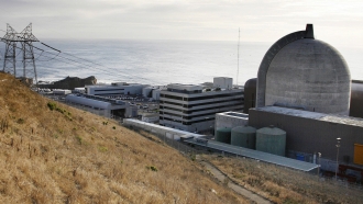 One of Pacific Gas & Electric's Diablo Canyon Power Plant's nuclear reactors is shown.