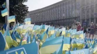 People look at Ukrainian flags.