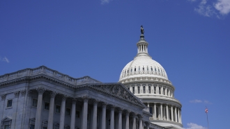 Democrats Defend Control Of U.S. Senate