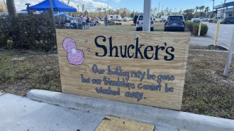 A sign for Shucker's at the Gulfshore and the Cottage Bar.