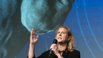 NASA Planetary Science Division director Lori Glaze