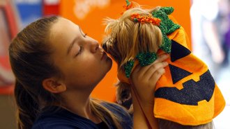 A girl kisses a dog in costume
