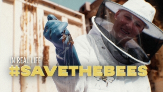 A beekeeper holds honey in her glove.