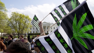 A demonstrator waves a flag with marijuana leaves depicted on it during a protest calling for the legalization of marijuana