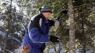 Get A Christmas Tree For $5-$20 With U.S. Forest Service Permit