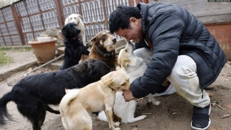 Anna Kurkurina pets a group of dogs.