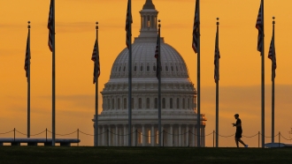U.S. Flags are seen on the National Mall with the U.S. Capitol building in the background