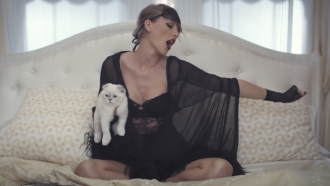 Taylor Swift's cat ranks 3rd among the world's richest pets