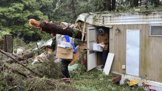 People remove items from a mobile home struck by a fallen tree.