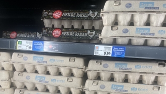 Eggs are displayed at a grocery store.