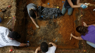 Anthropologists exhume gravesites at the Arthur G. Dozier School for Boys.