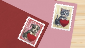 USPS Forever Love 2023 stamps.