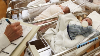 Newborn babies in the nursery of a postpartum recovery center