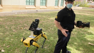 Honolulu Police experimenting with a robot-like dog