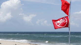 Red flags fly over a Florida beach, indicating it is closed to the public.